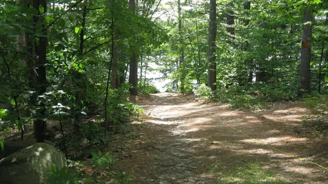 Lot 92 Bear Pond Road Alton NH 03809
