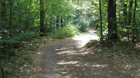 Lot 92 Bear Pond Road Alton NH 03809