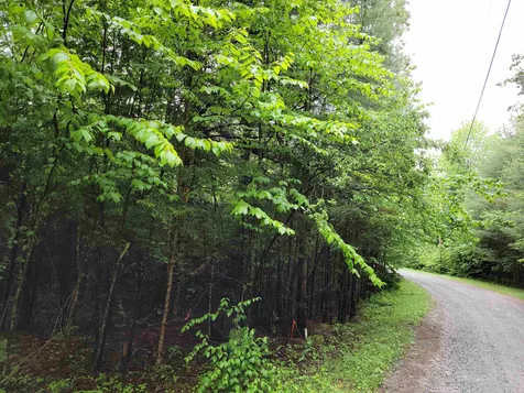 Lot 4-10 Northwoods Lane Bethlehem NH 03574