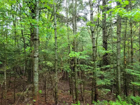 Lot 4-10 Northwoods Lane Bethlehem NH 03574