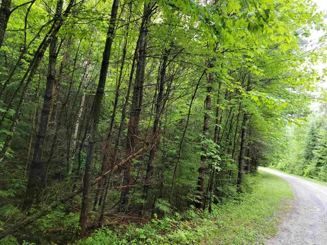 Lot 4-10 Northwoods Lane Bethlehem NH 03574