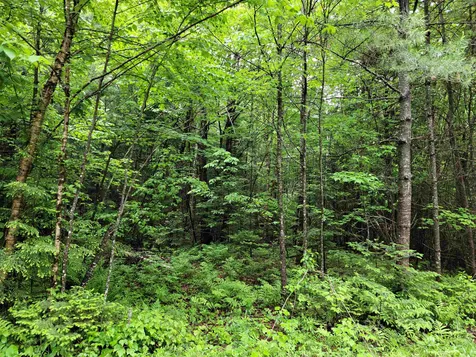 Lot 4-10 Northwoods Lane Bethlehem NH 03574