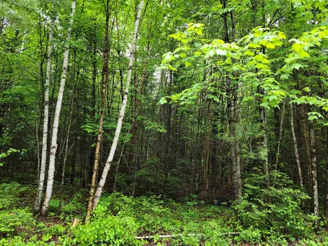 Lot 4-10 Northwoods Lane Bethlehem NH 03574