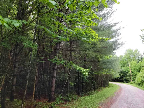 Lot 4-10 Northwoods Lane Bethlehem NH 03574
