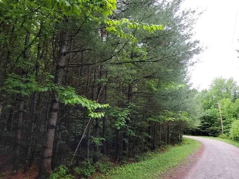 Lot 4-10 Northwoods Lane Bethlehem NH 03574