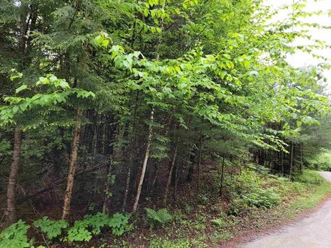 Lot 4-10 Northwoods Lane Bethlehem NH 03574