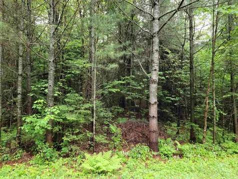 Lot 4-10 Northwoods Lane Bethlehem NH 03574