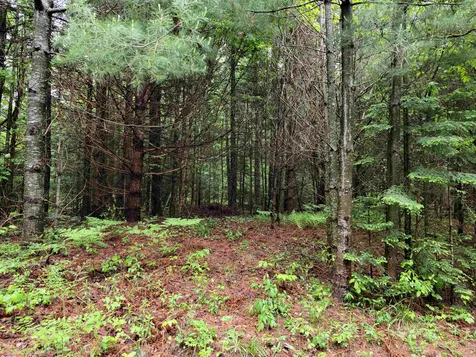 Lot 4-10 Northwoods Lane Bethlehem NH 03574