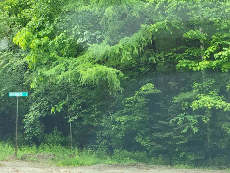 Lot 4-10 Northwoods Lane Bethlehem NH 03574