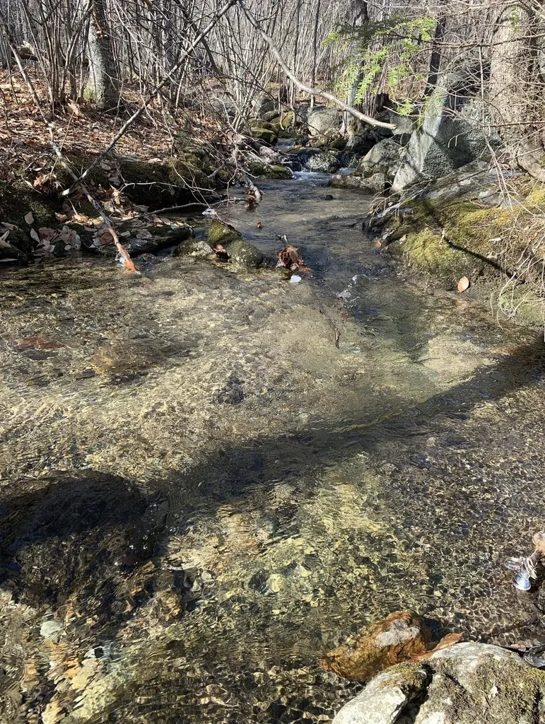 50 Tuttle Road Bradford NH 03221