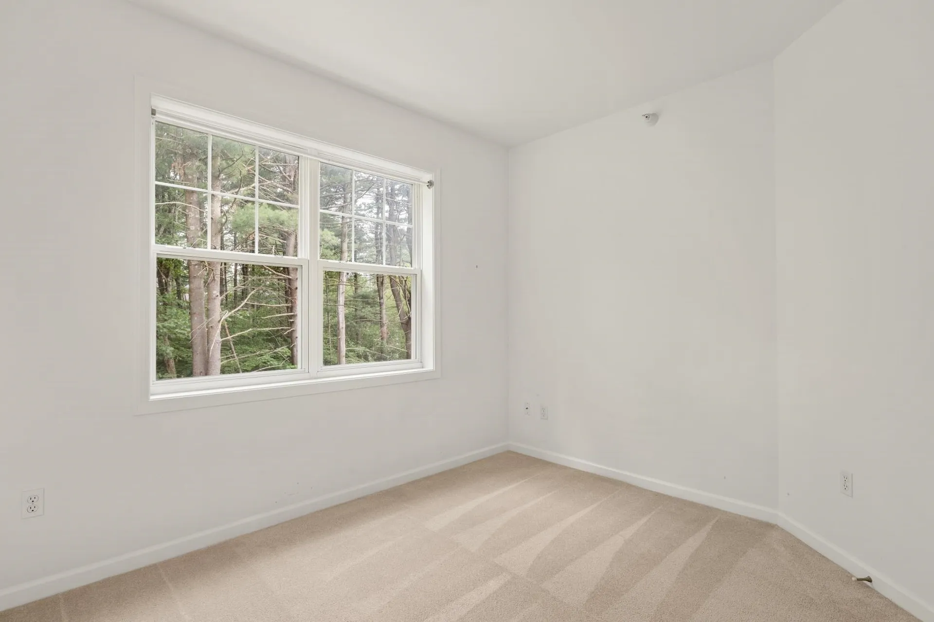99 Eldredge Street South Burlington VT 05403