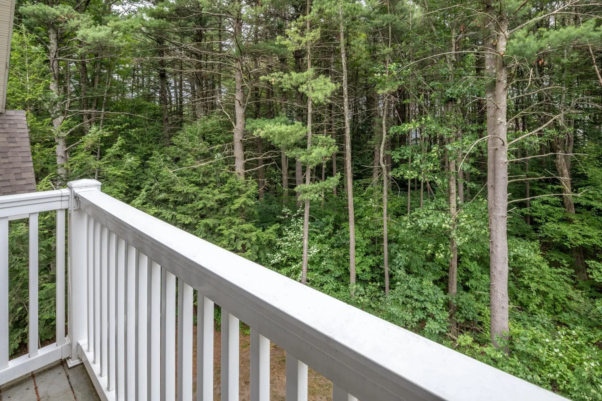 99 Eldredge Street South Burlington VT 05403