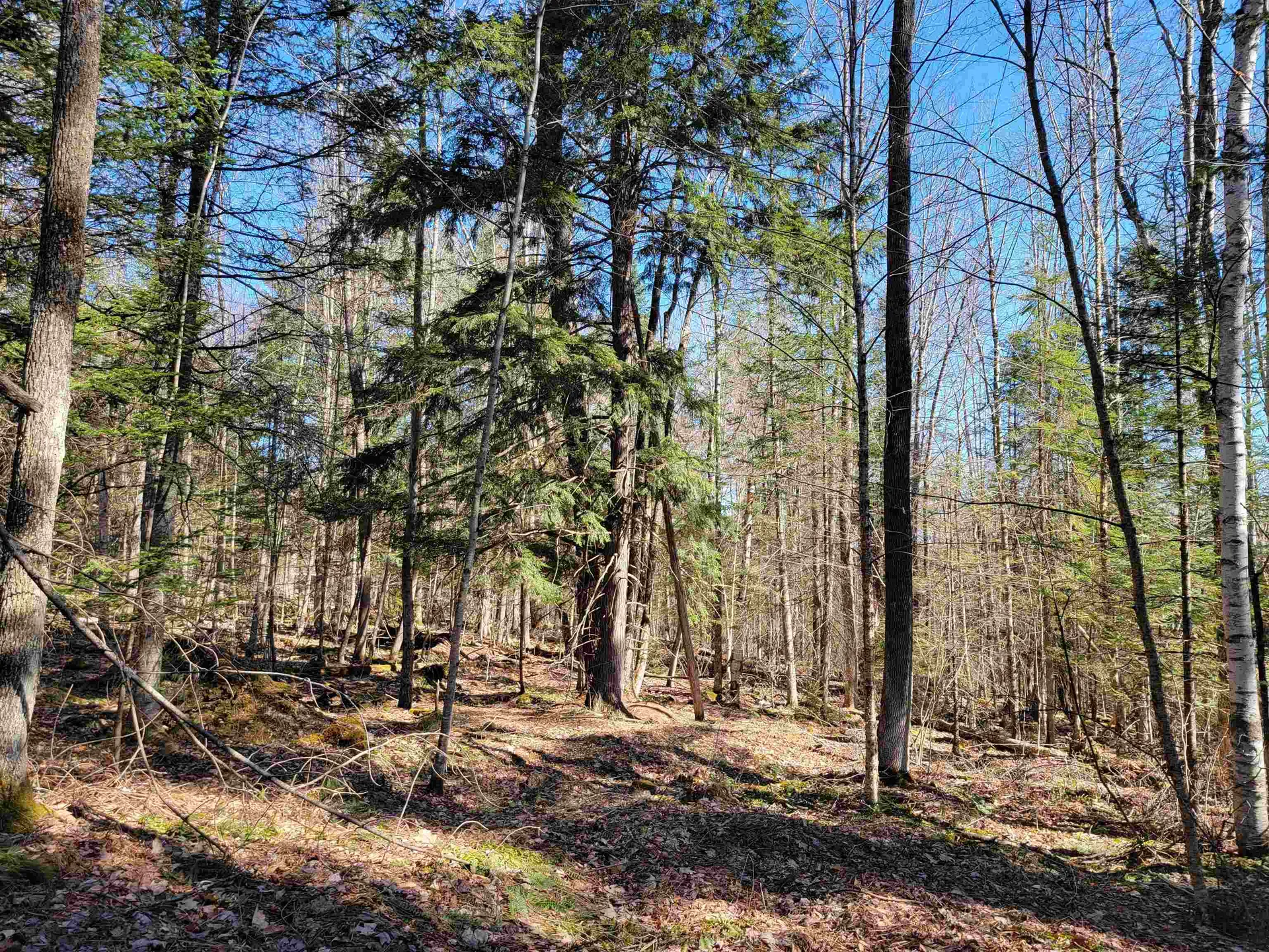 00 Conway Lane Haverhill NH 03785