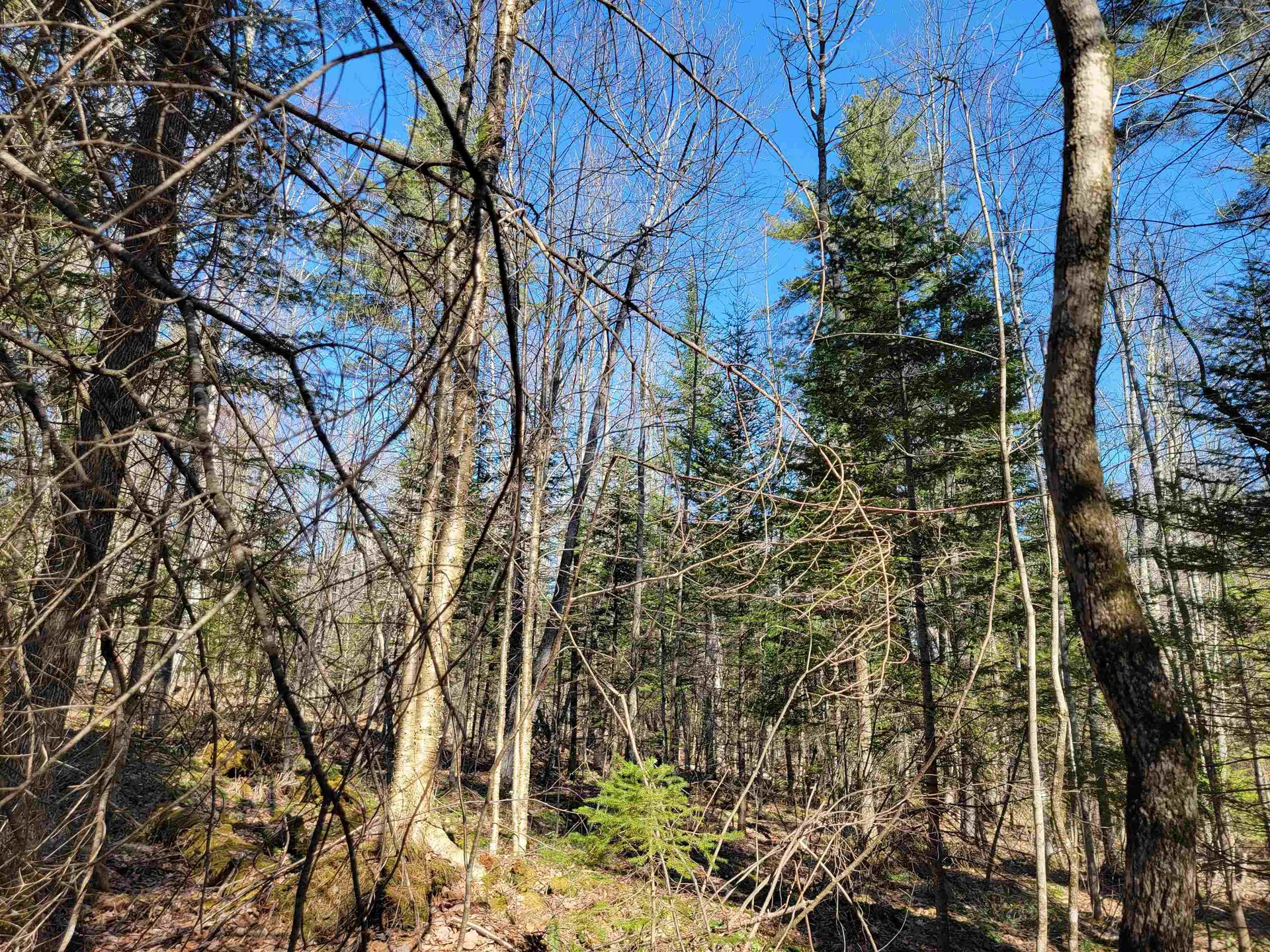 00 Conway Lane Haverhill NH 03785