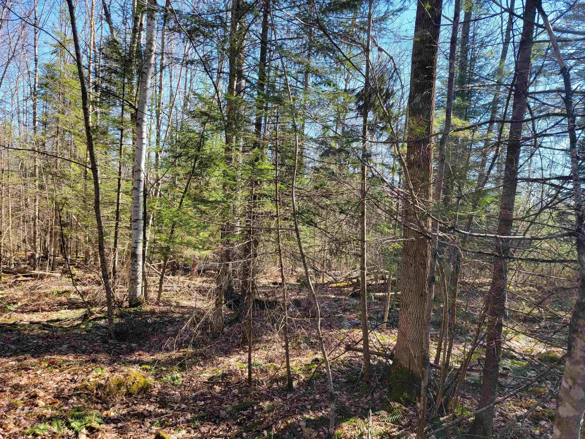 00 Conway Lane Haverhill NH 03785