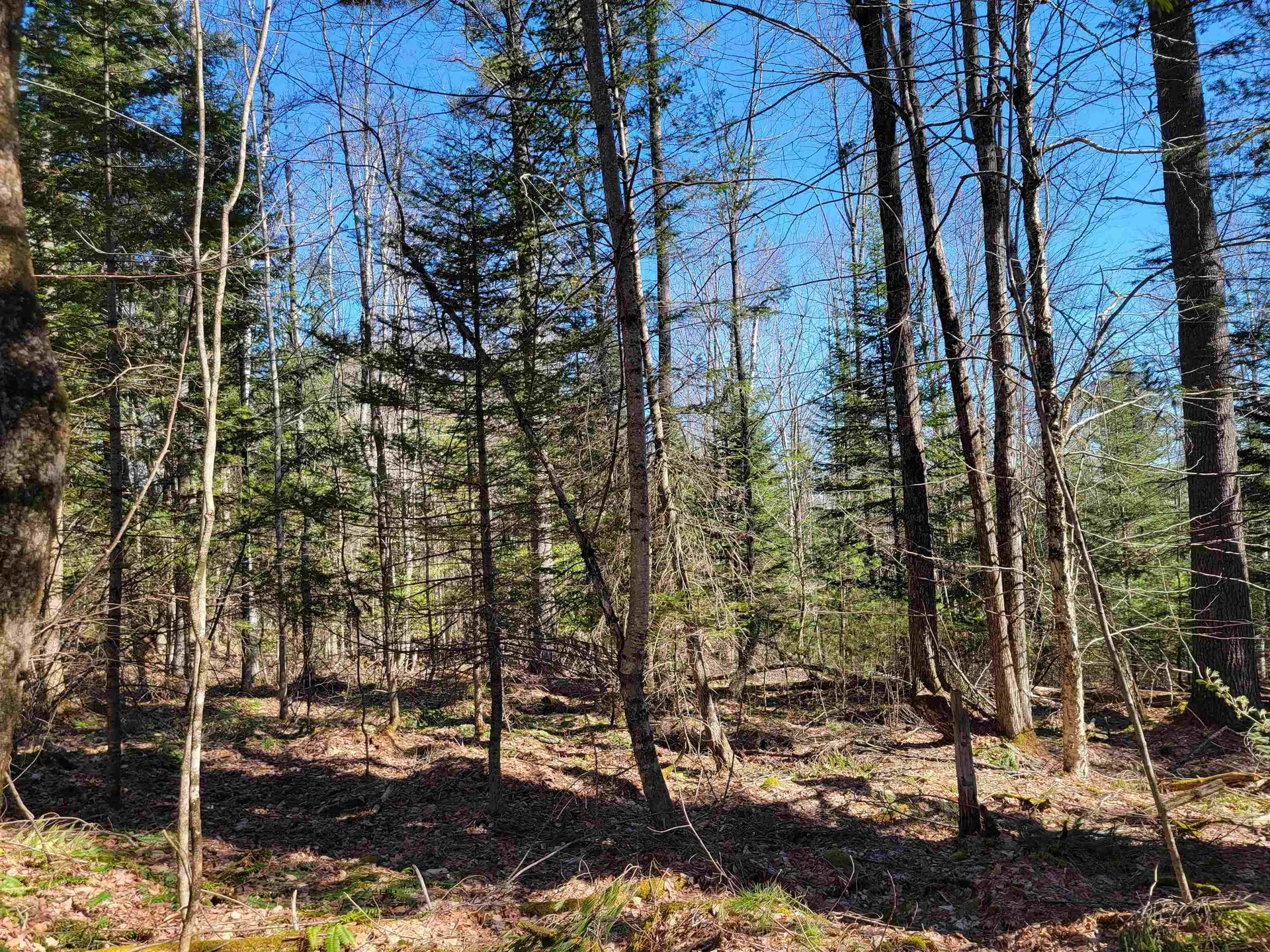 00 Conway Lane Haverhill NH 03785