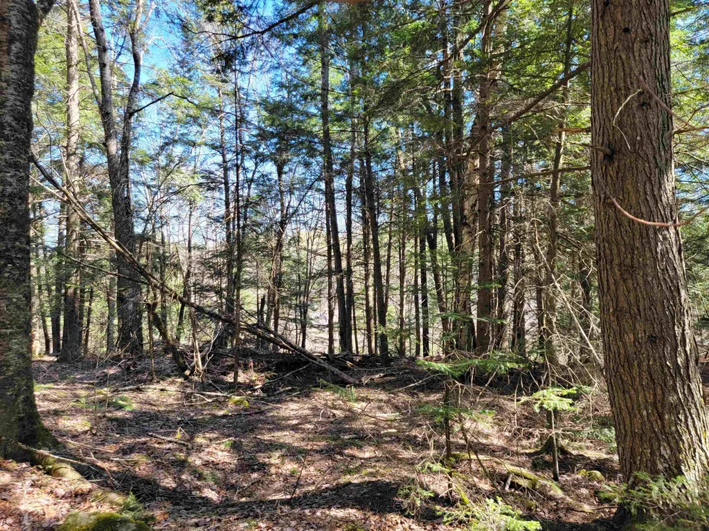 0 Rogers Road Haverhill NH 03785