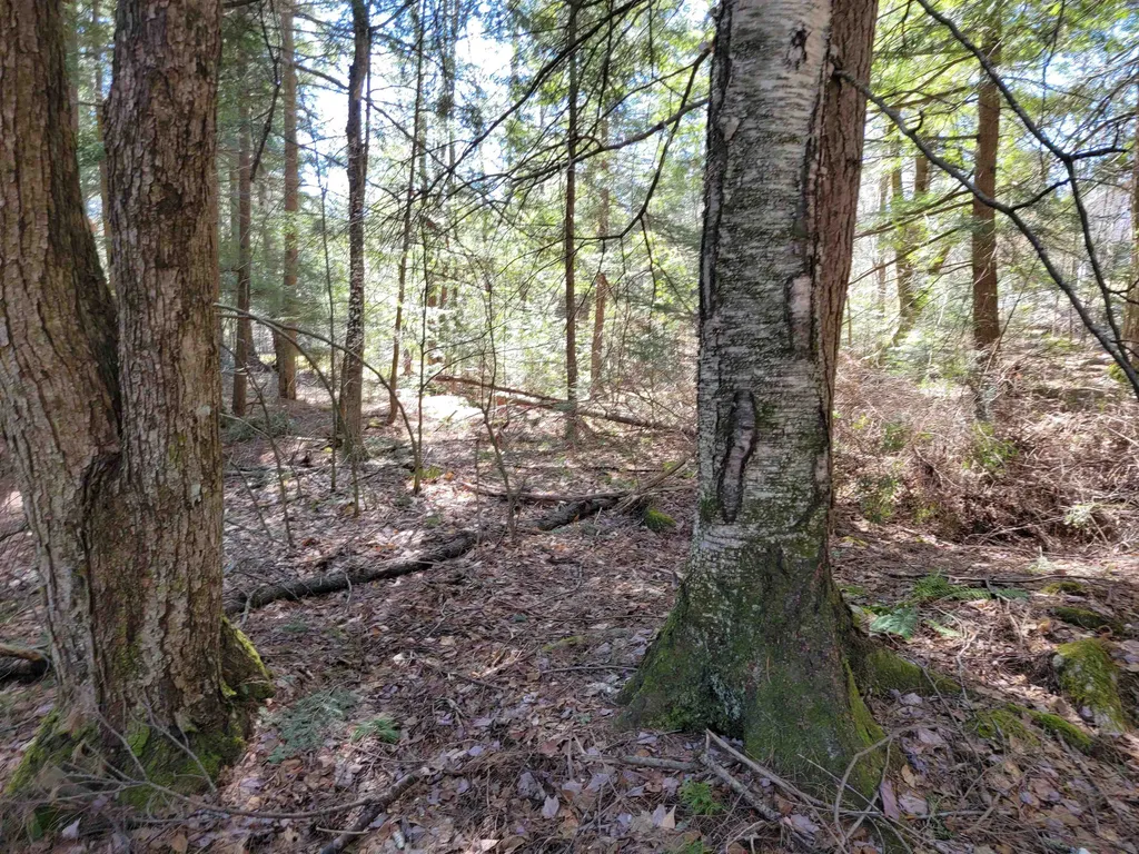 0 Rogers Road Haverhill NH 03785