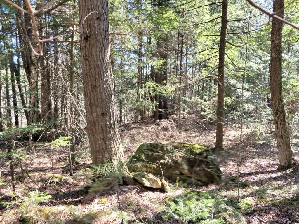 0 Rogers Road Haverhill NH 03785