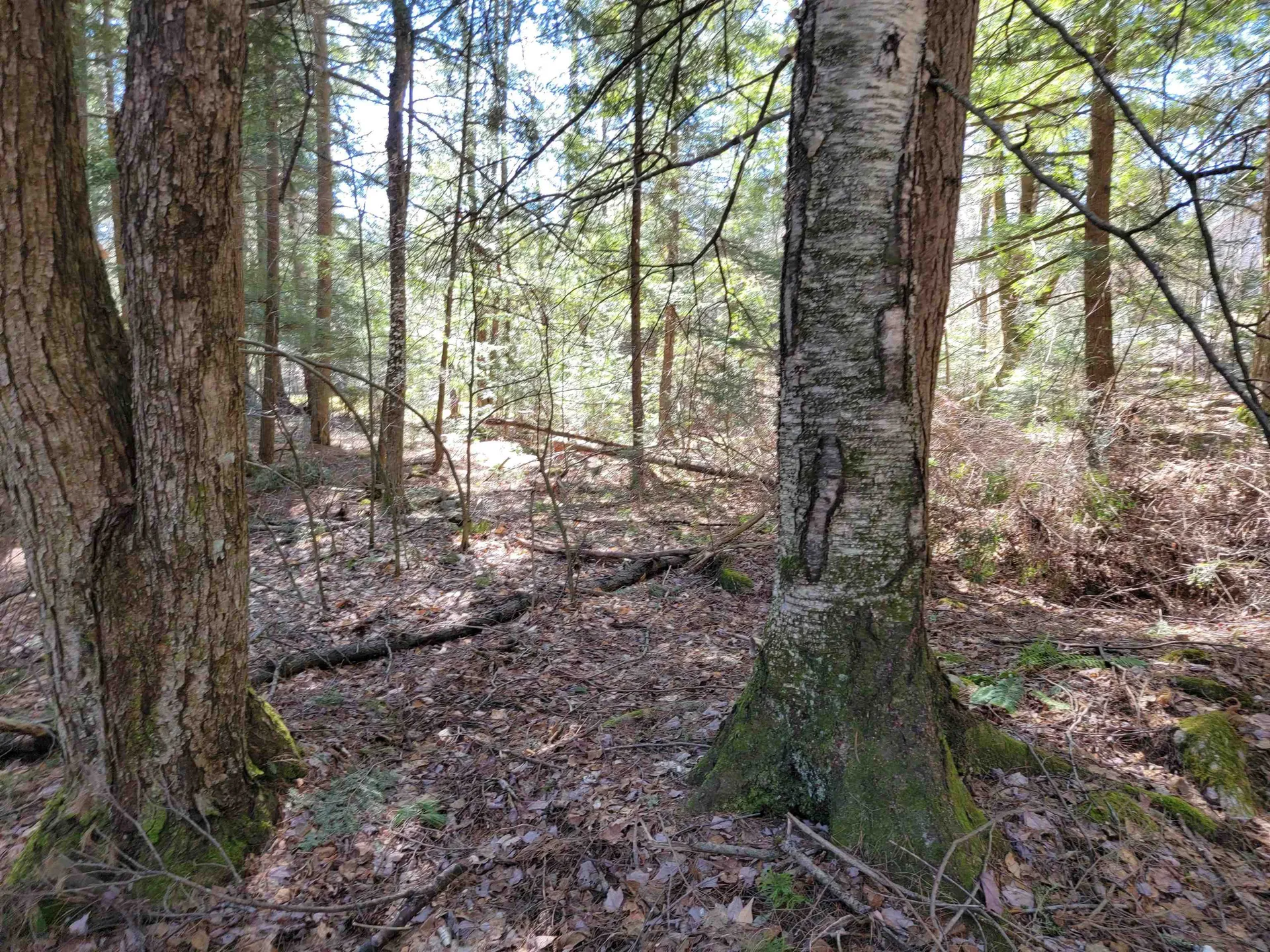 0 Rogers Road Haverhill NH 03785