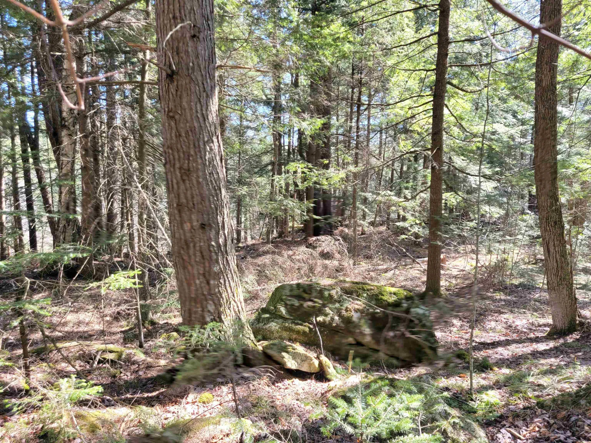 0 Rogers Road Haverhill NH 03785