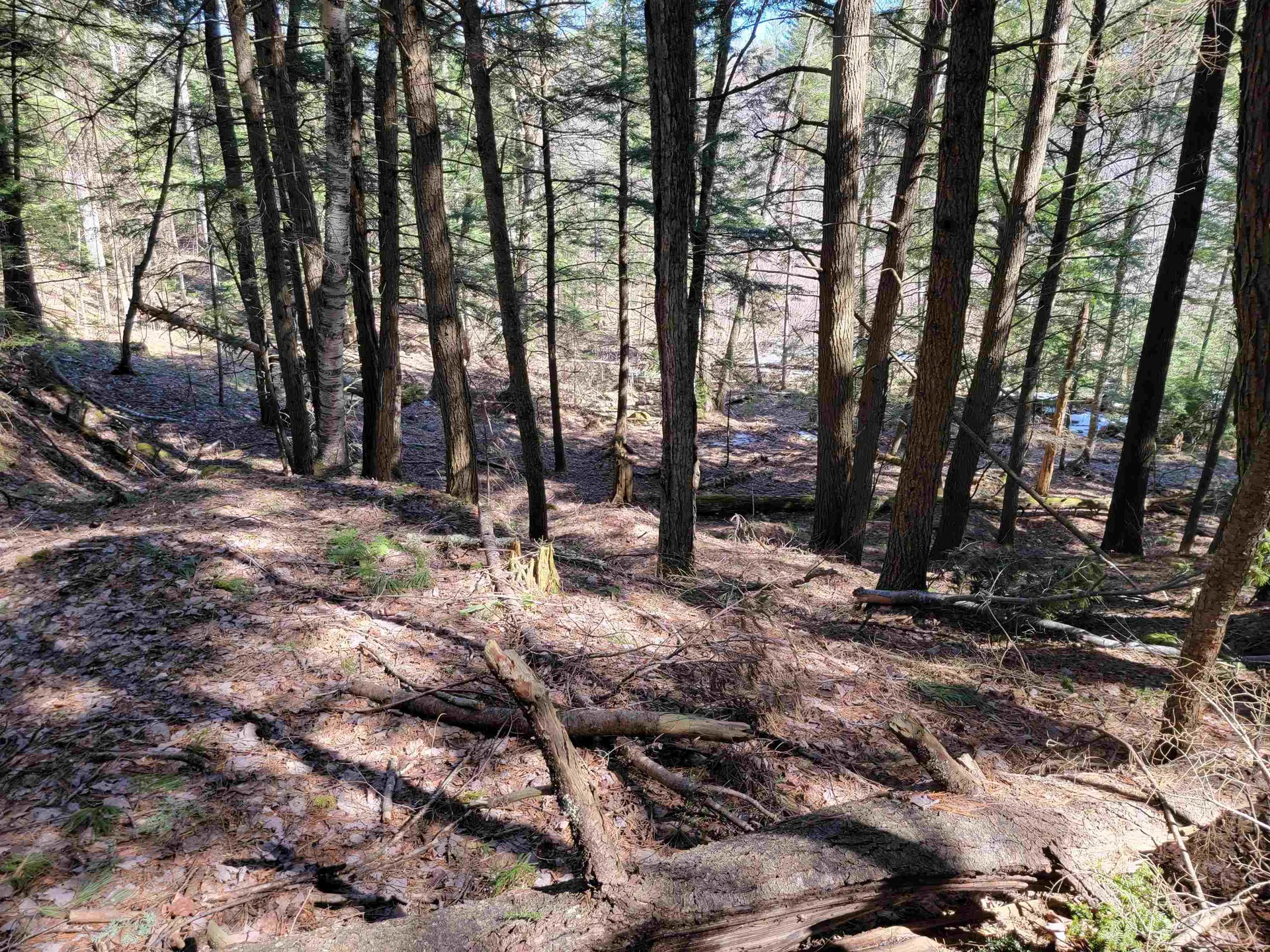 0 Rogers Road Haverhill NH 03785