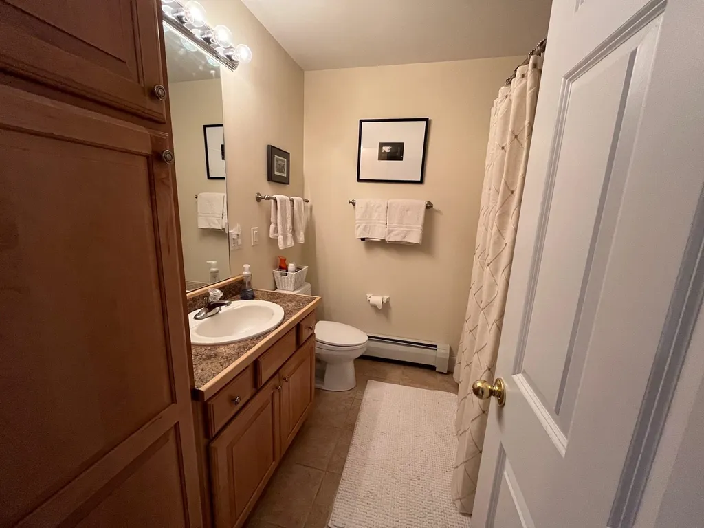 53 Amber Way Warren VT 05674