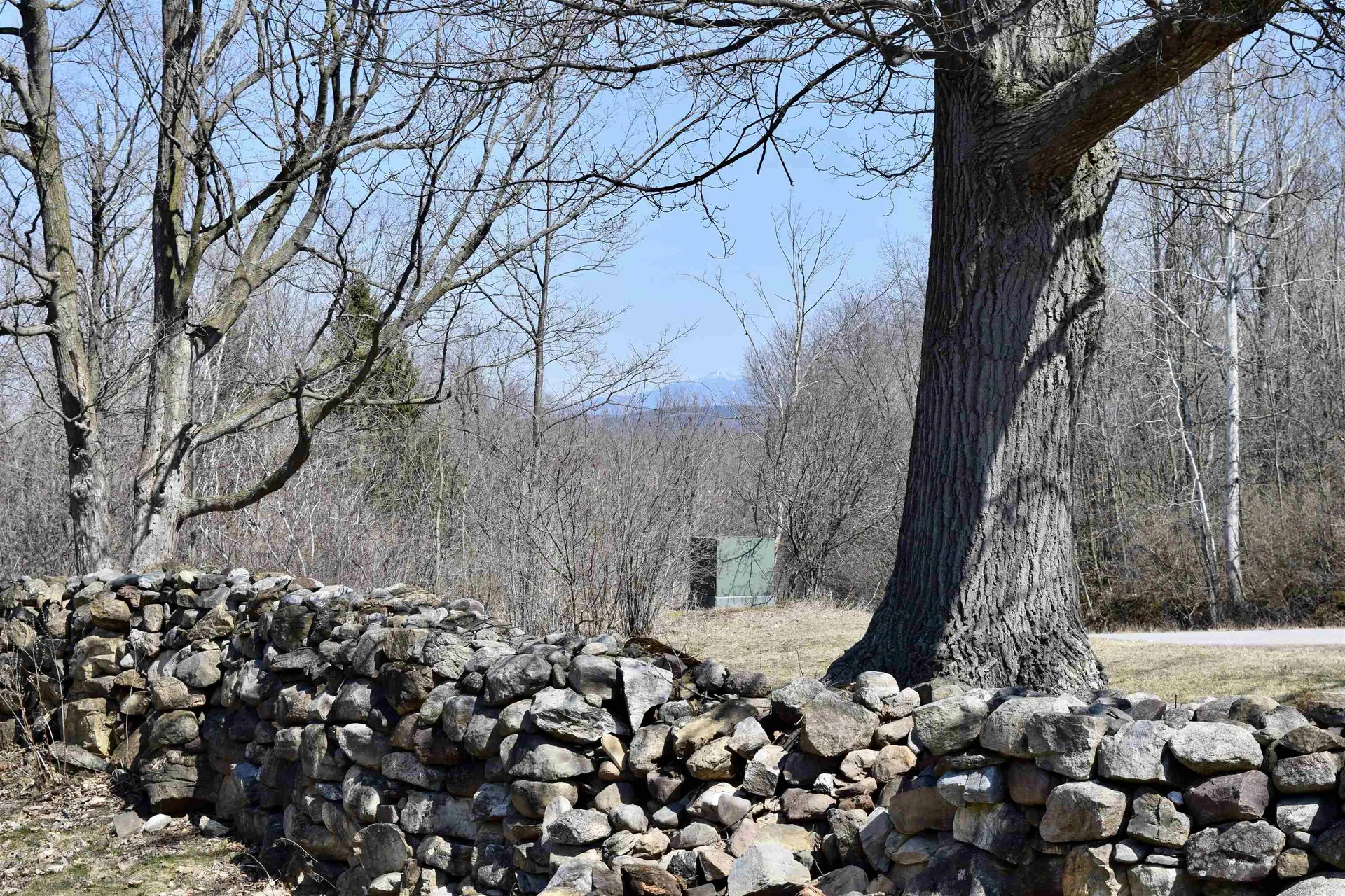 548 Ridgefield Road Shelburne VT 05482