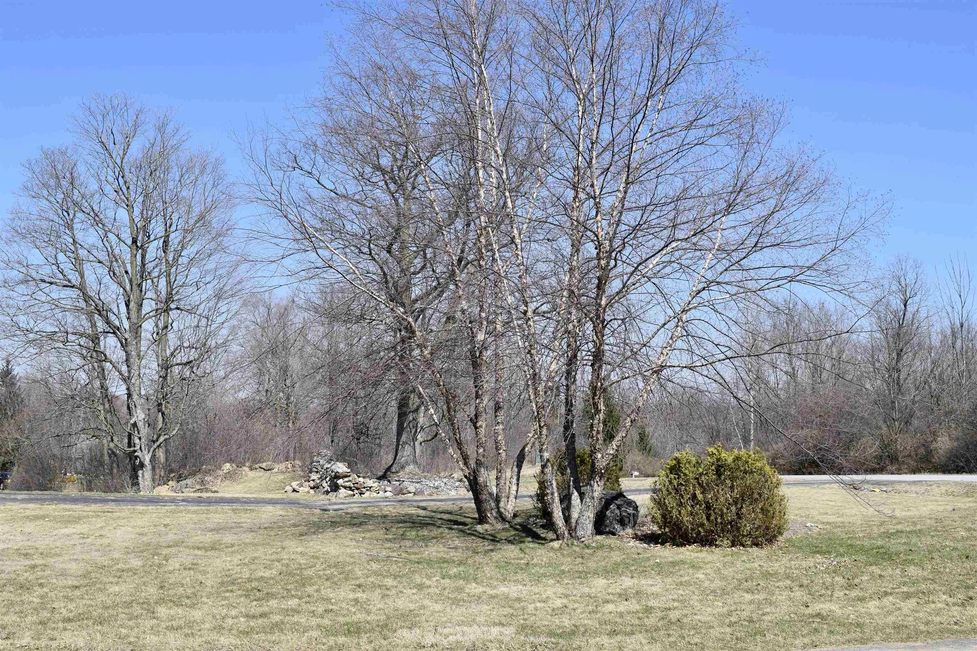 548 Ridgefield Road Shelburne VT 05482