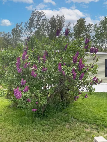 23 Smith Drive Canaan NH 03741