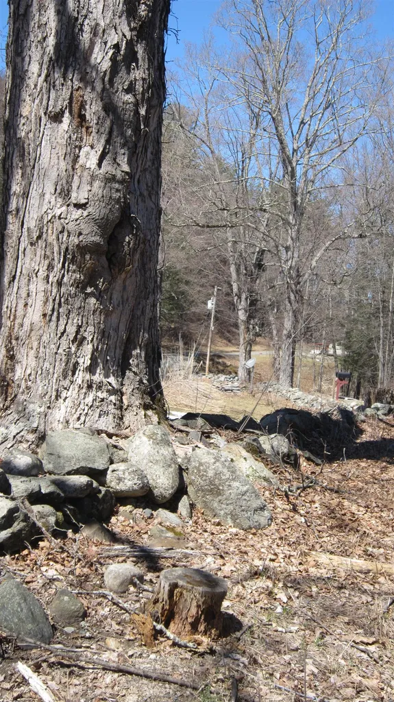 25 Woodlands Lane Newfane VT 05345