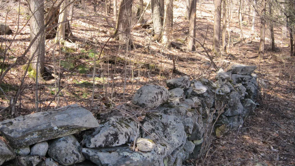 25 Woodlands Lane Newfane VT 05345