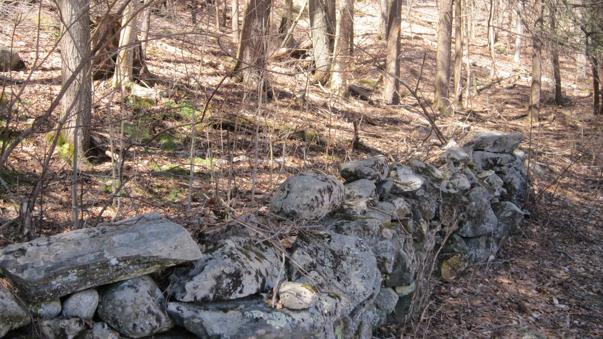 25 Woodlands Lane Newfane VT 05345