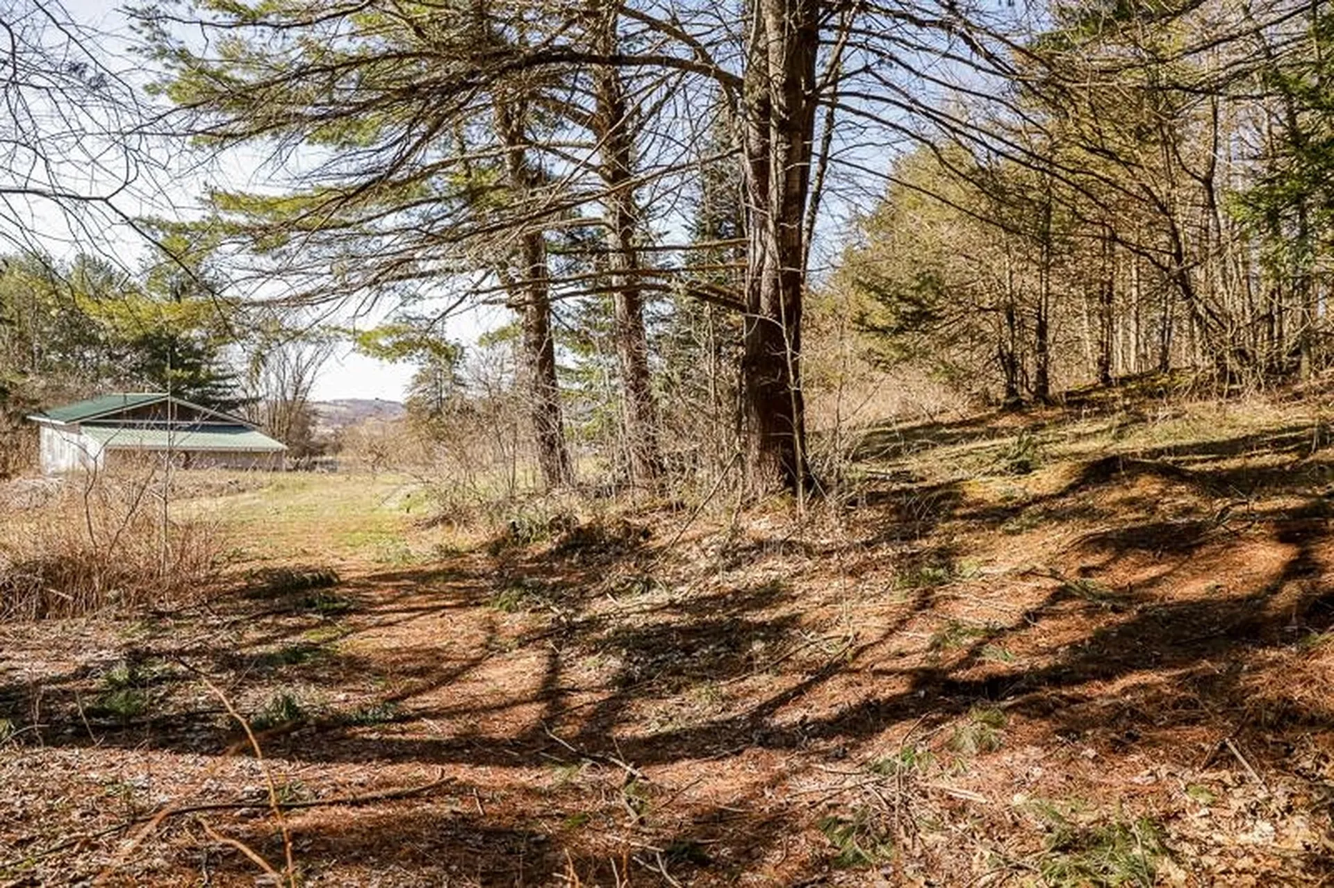 1045 Shellhouse Mtn Road Ferrisburgh VT 05456