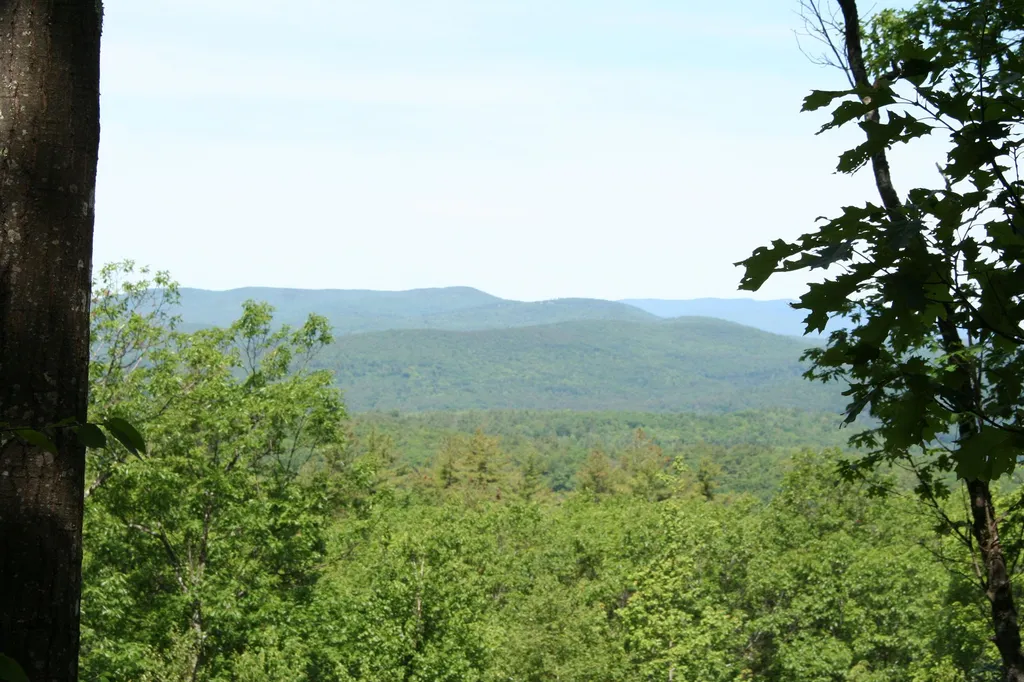 463 Craney Hill Road Henniker NH 03242