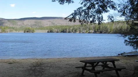 Lot 130 Frohock Brook Road Alton NH 03809