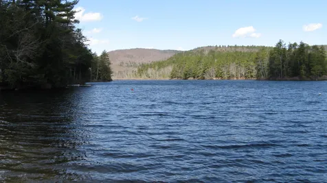 Lot 130 Frohock Brook Road Alton NH 03809