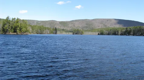 Lot 130 Frohock Brook Road Alton NH 03809