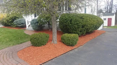 294 Blevens Drive Manchester NH 03104