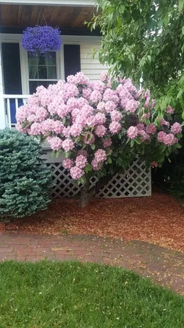 294 Blevens Drive Manchester NH 03104