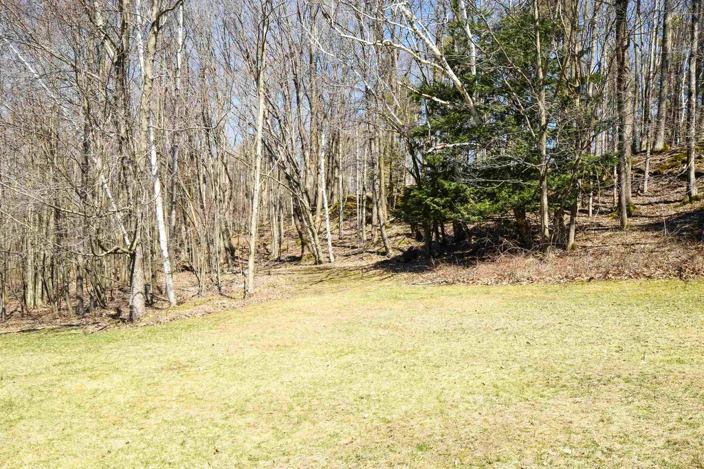 171 Doberman Drive Arlington VT 05250