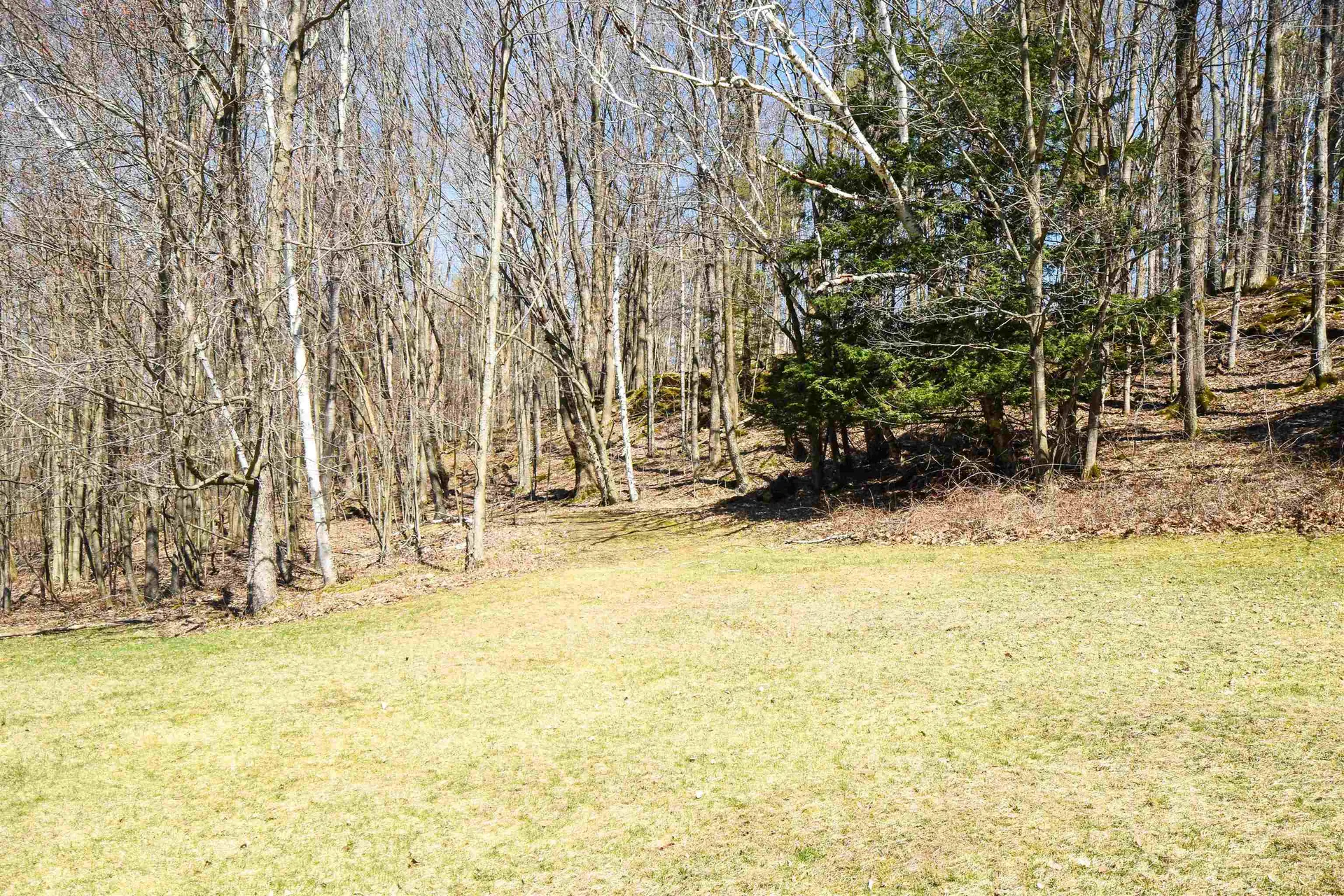 171 Doberman Drive Arlington VT 05250