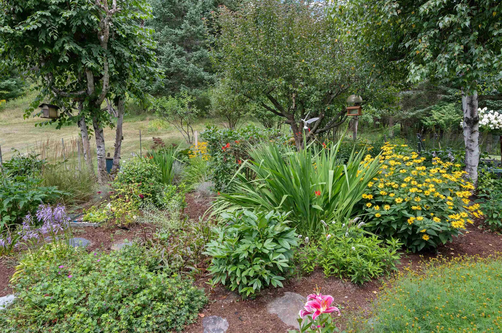 3 Shamrock Lane Montpelier VT 05602