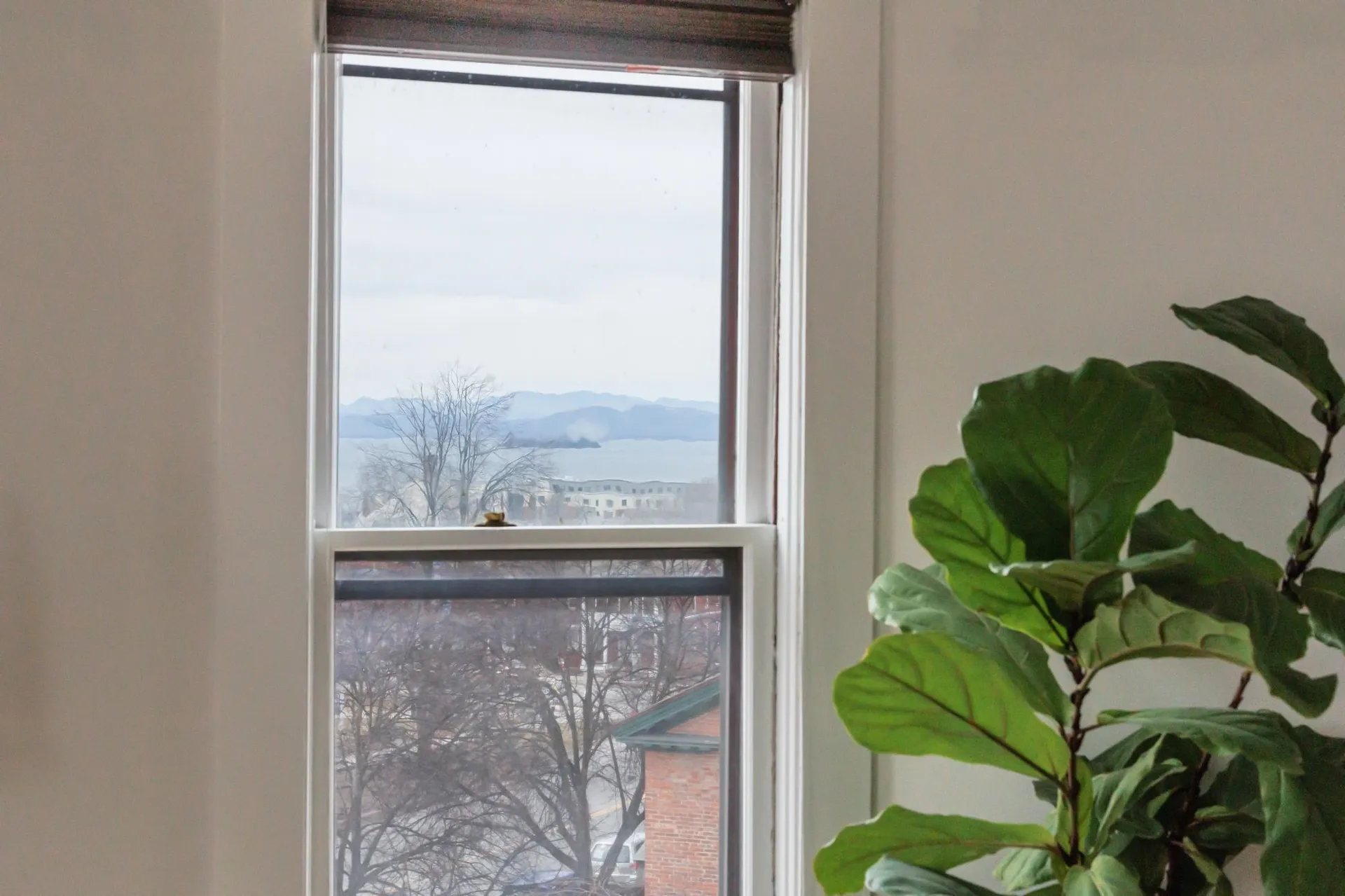 288 Main Street Burlington VT 05401