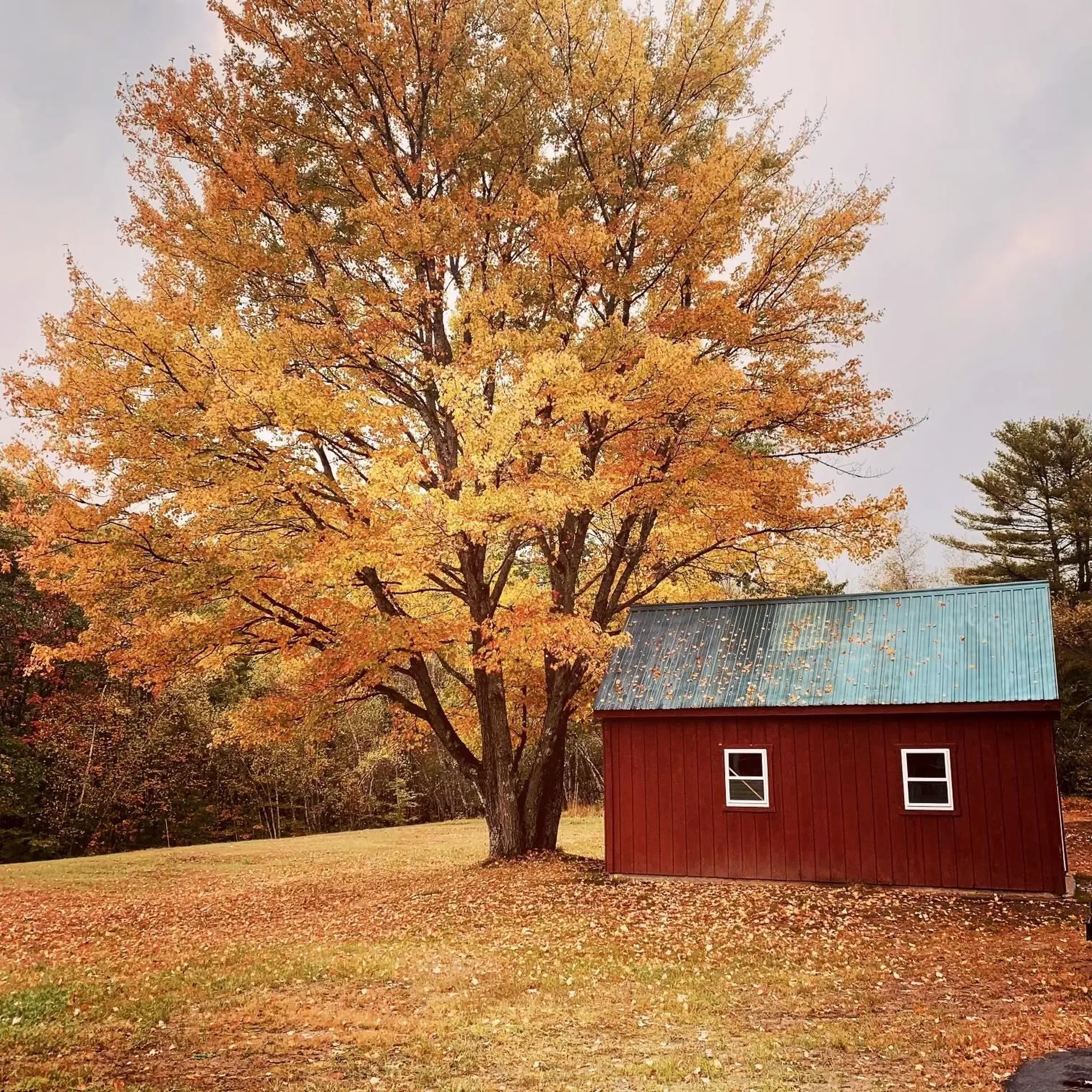 321 Dudley Road Alton NH 03809