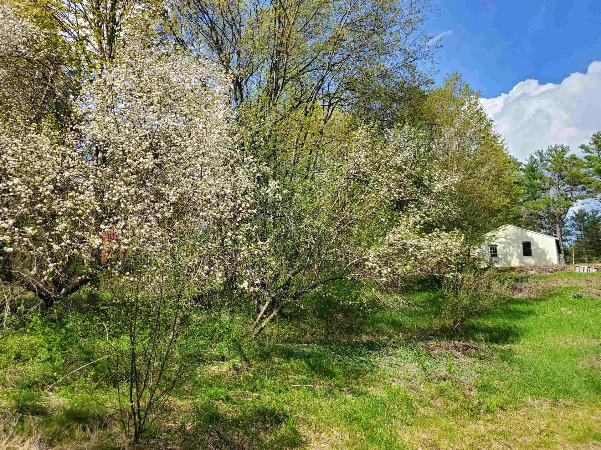 139 Canaan Street Canaan NH 03741