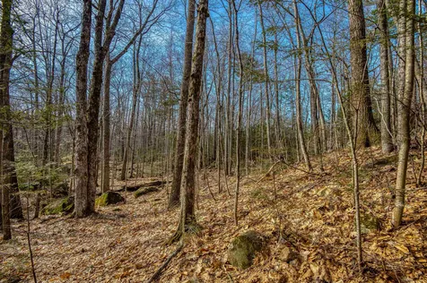 Spruce Road Wolfeboro NH 03894