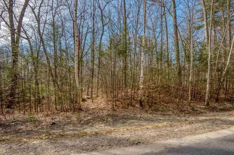Spruce Road Wolfeboro NH 03894