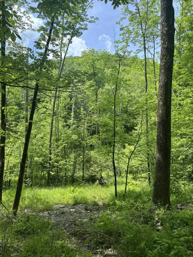 0 West Sandgate Road Sandgate VT 05250