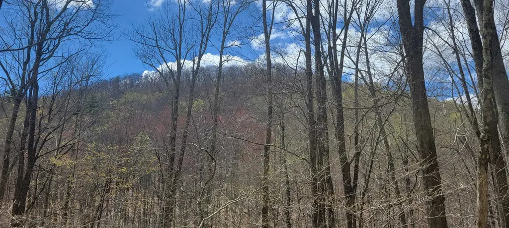 0 West Sandgate Road Sandgate VT 05250